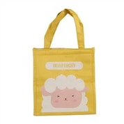 Isolerad hopfällbar kylväska